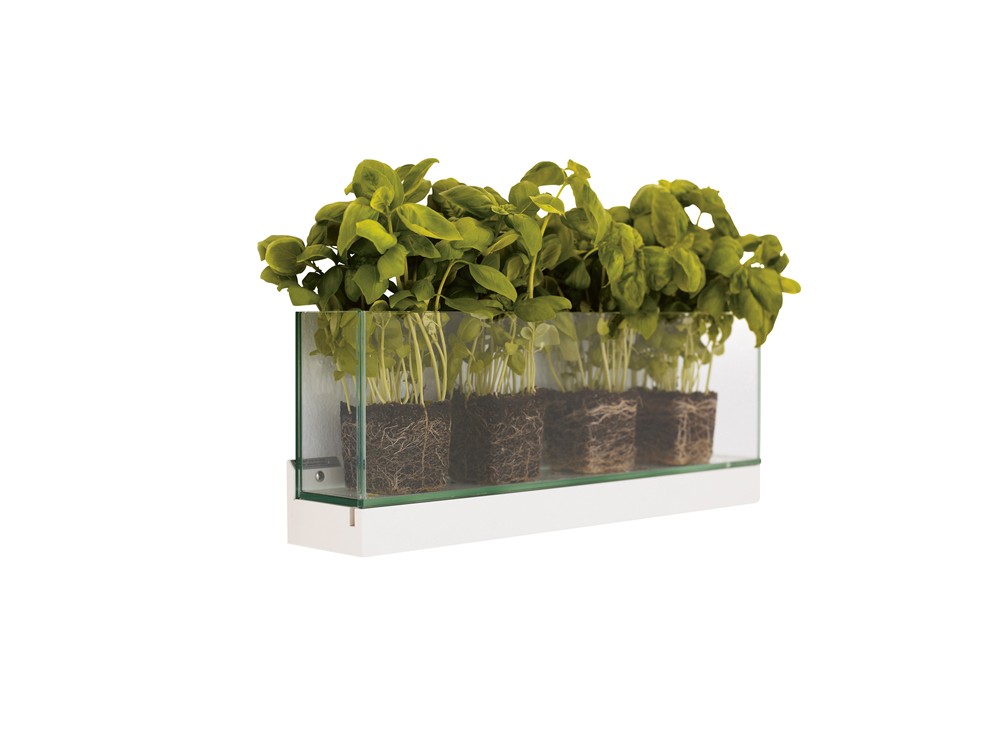 Front, Plant, Tidskriftsställ, Exponeringssystem, Karl Andersson Söner