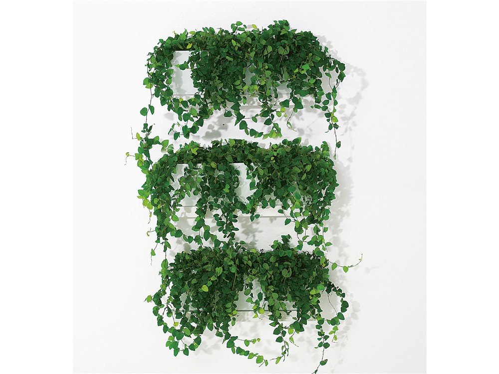 Front, Plant, Tidskriftsställ, Exponeringssystem, Karl Andersson Söner
