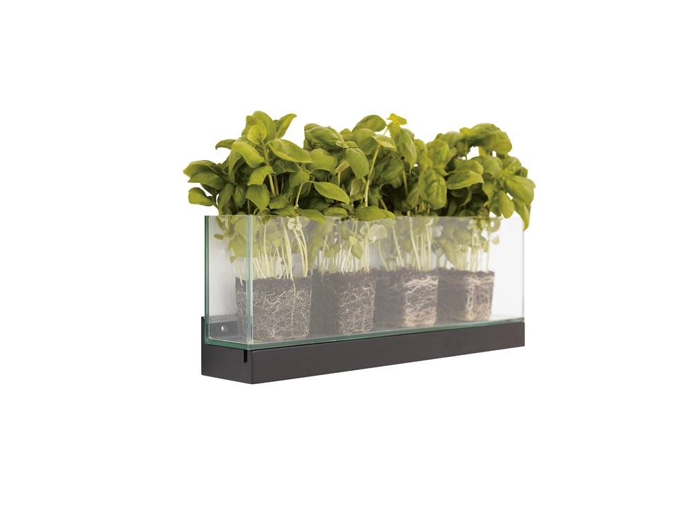 Front, Plant, Tidskriftsställ, Exponeringssystem, Karl Andersson Söner